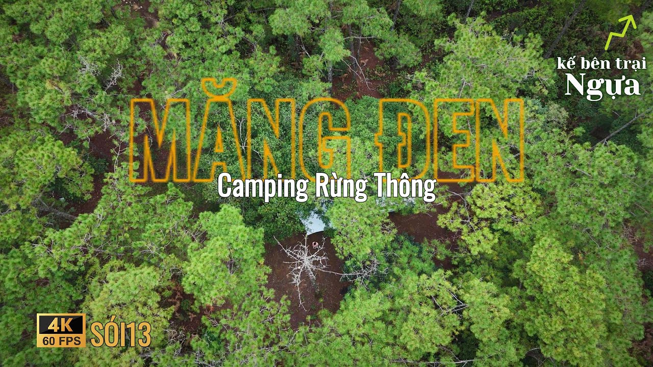 [#001 - Măng Đen] Camping đồi thông gần trại ngựa (Horse Farm Măng Đen)