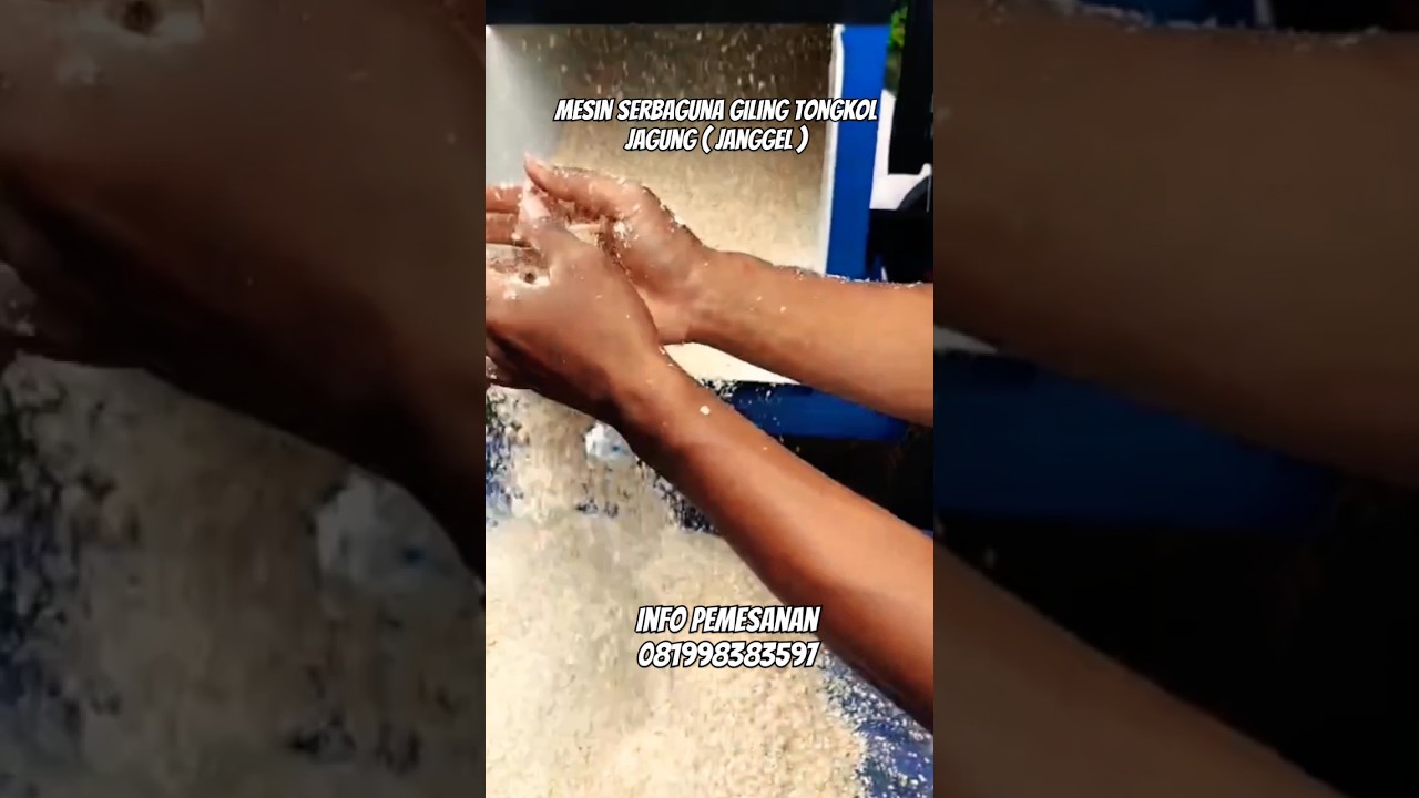 MESIN SERBAGUNA GILING TONGKOL JAGUNG ( JANGGEL ) || info pemesanan : 081998383597