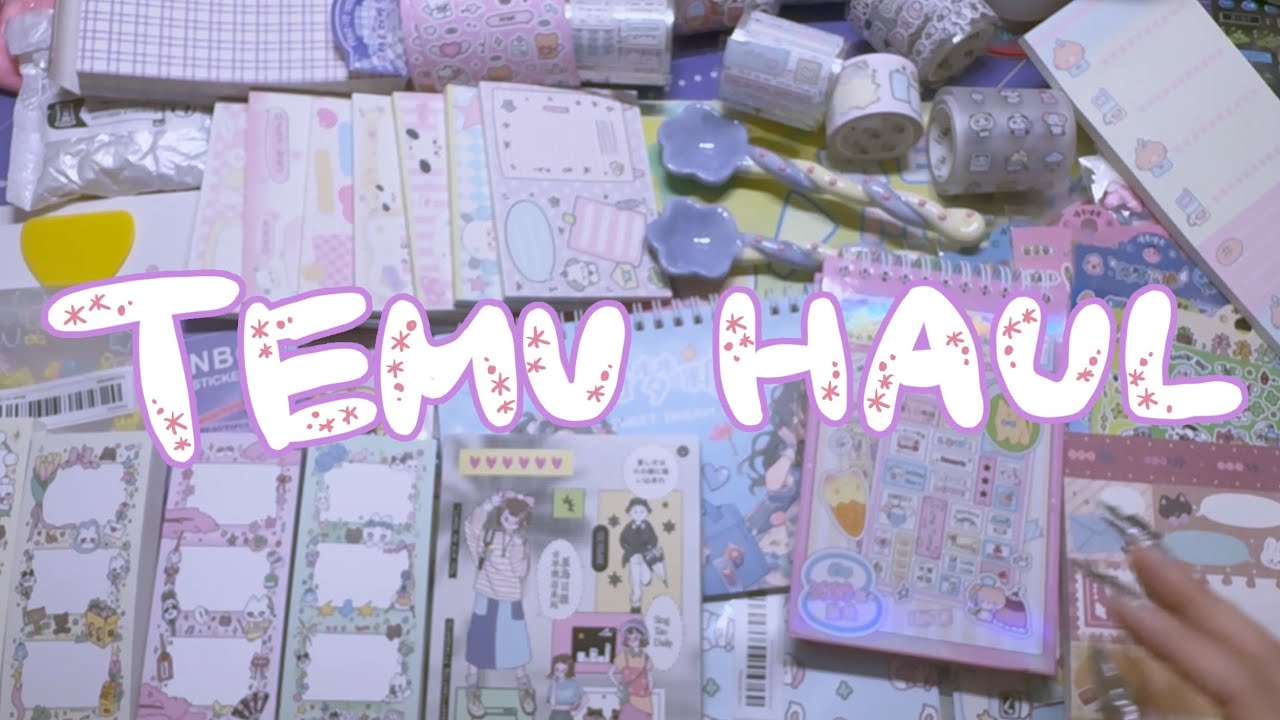 TEMU☆購入品紹介( *´艸｀)シールいっぱいオススメいっぱい！！