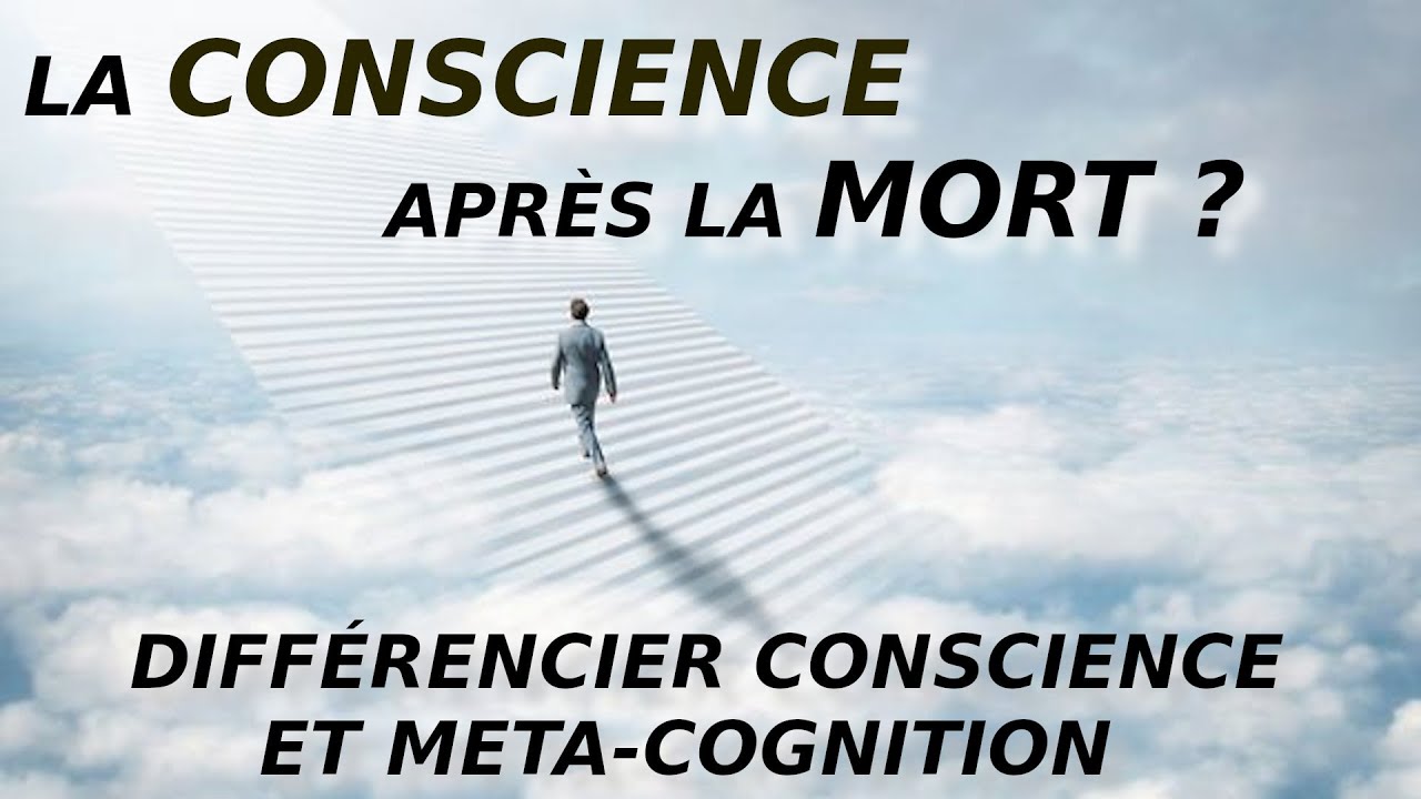 Y a-t-il de la conscience apr&egrave;s la mort ? Conscience, meta-cognition, introspection et cerveau #0241
