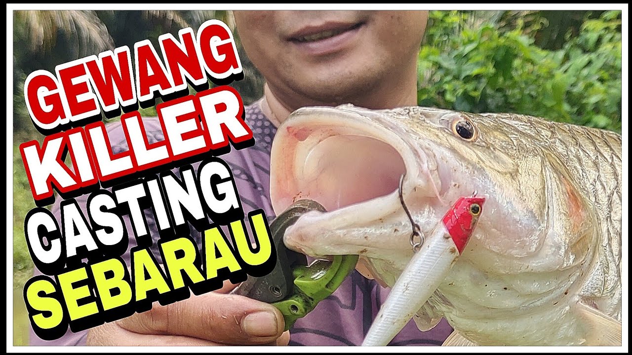 CASTING SEBARAU TOP WATER. LUCKY CRAFT GUNFISH 75 Duo Realis Rozante 77sp. Shimano Metanium