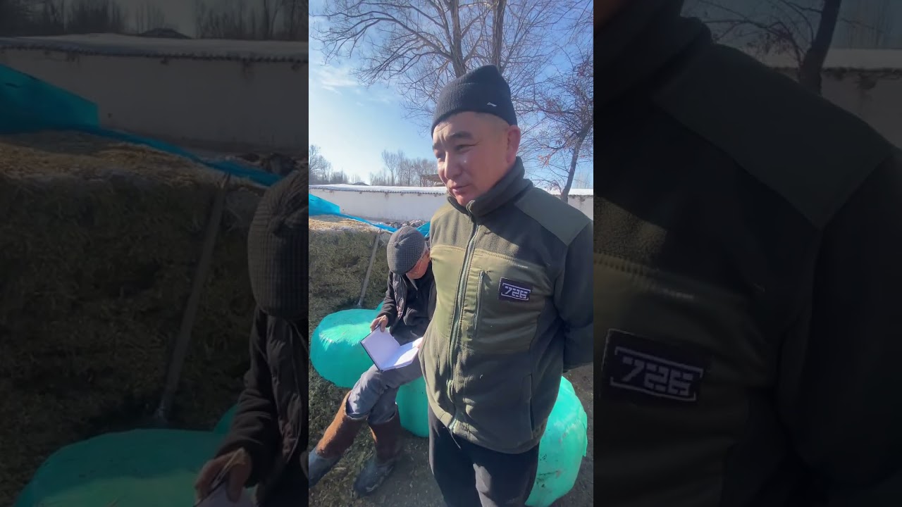 Мыкты силос даны менен Тюп району Арал айылы  (0709) 381-704