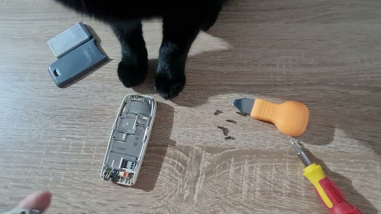 Nokia 3100 inside,Disassembly,Teardown