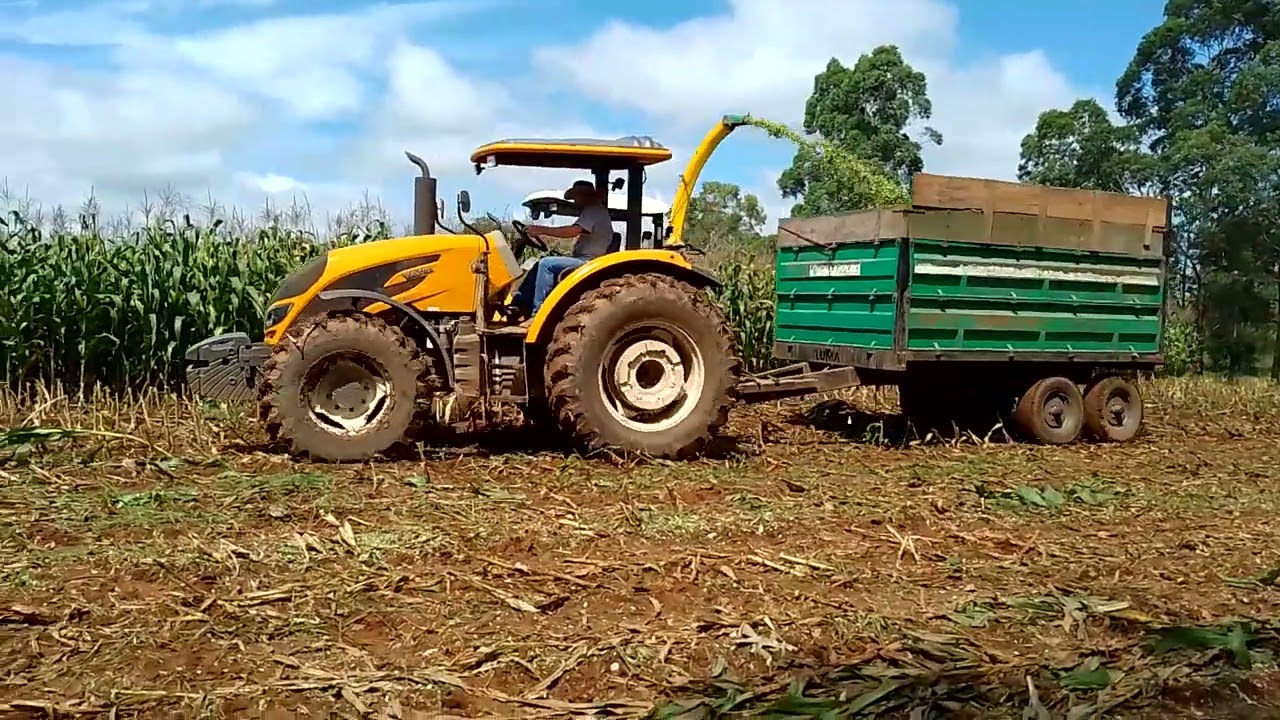 Continua A Lida Da Silagem Com LS PLUS 80 Cortando Com JF C120 AT Valtra A750 E A104