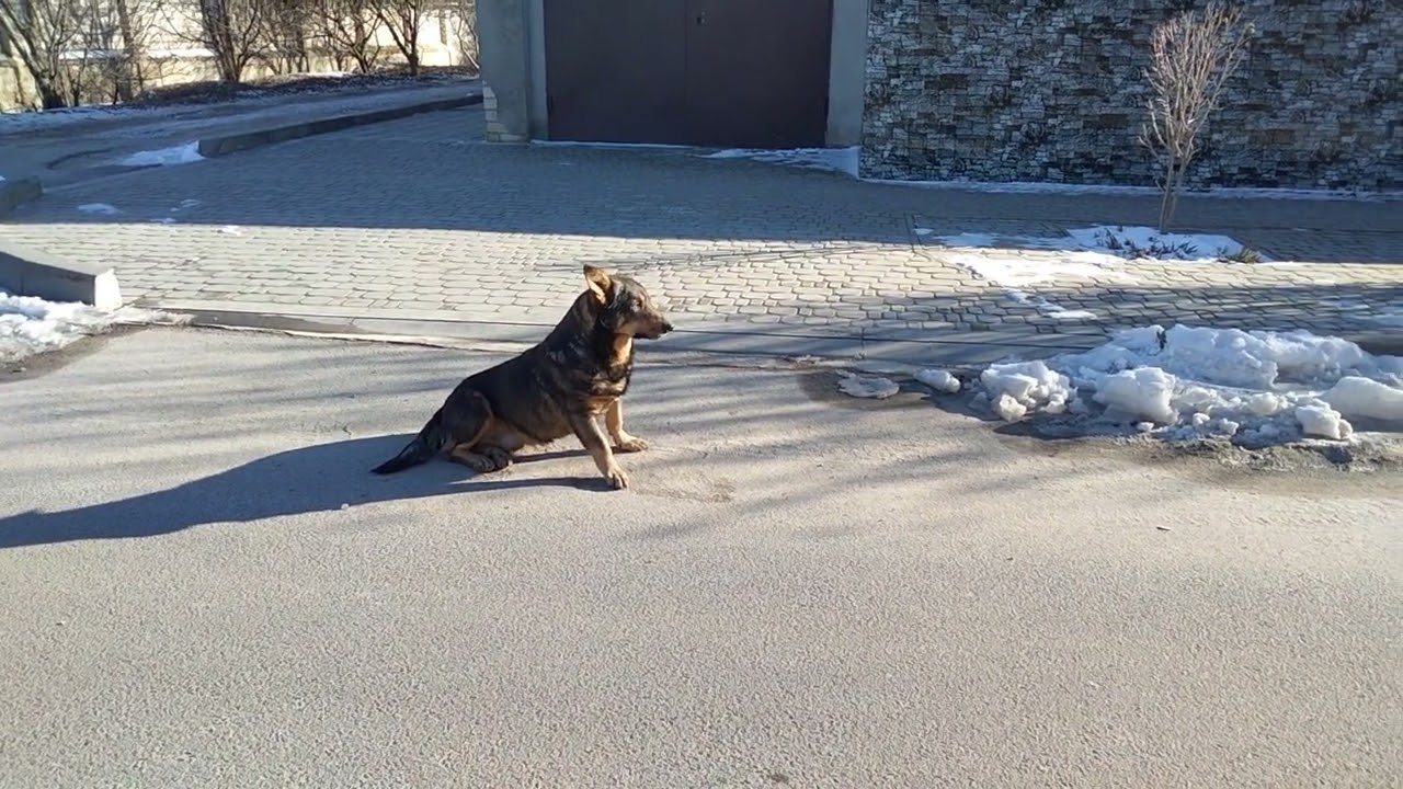 Тихо и как бы будто нет войны.....
