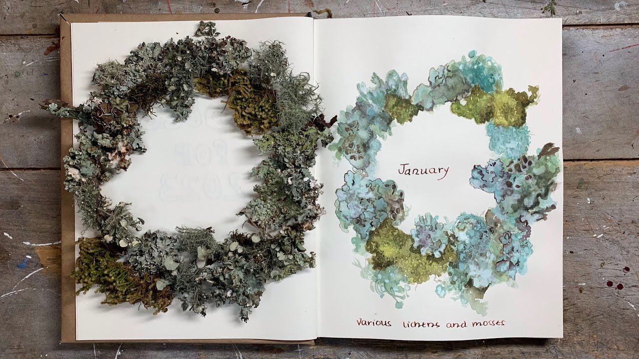 A Year In The Nature Journal: Lichens And Mosses 🌱 watercolor tips & foraging for specimens