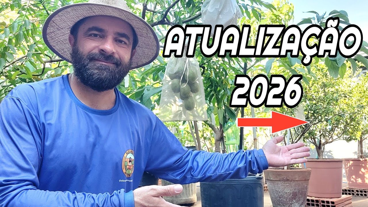 TOUR - COMO ESTÃO AS FRUTÍFERAS EM VASOS E NO QUINTAL | ATUALIZAÇÃO 2026!!