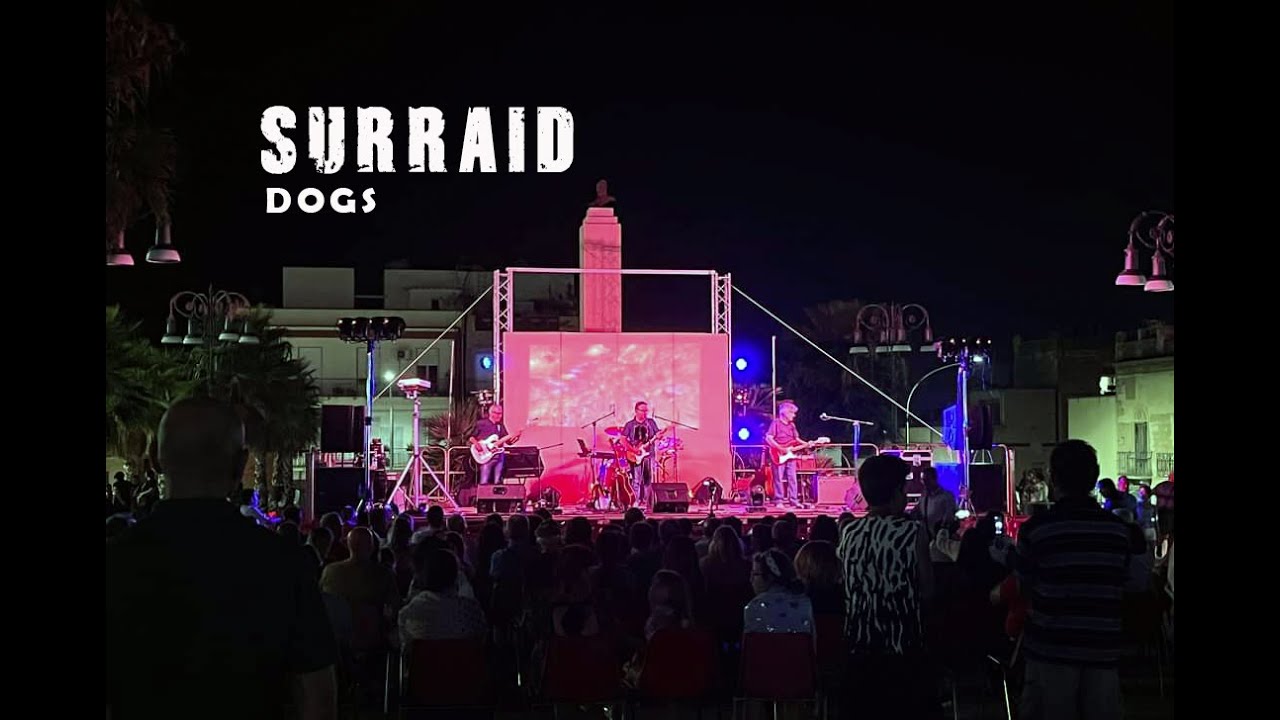SURRAID - DOGS: SLIDE SHOW Concerto 5 agosto2023