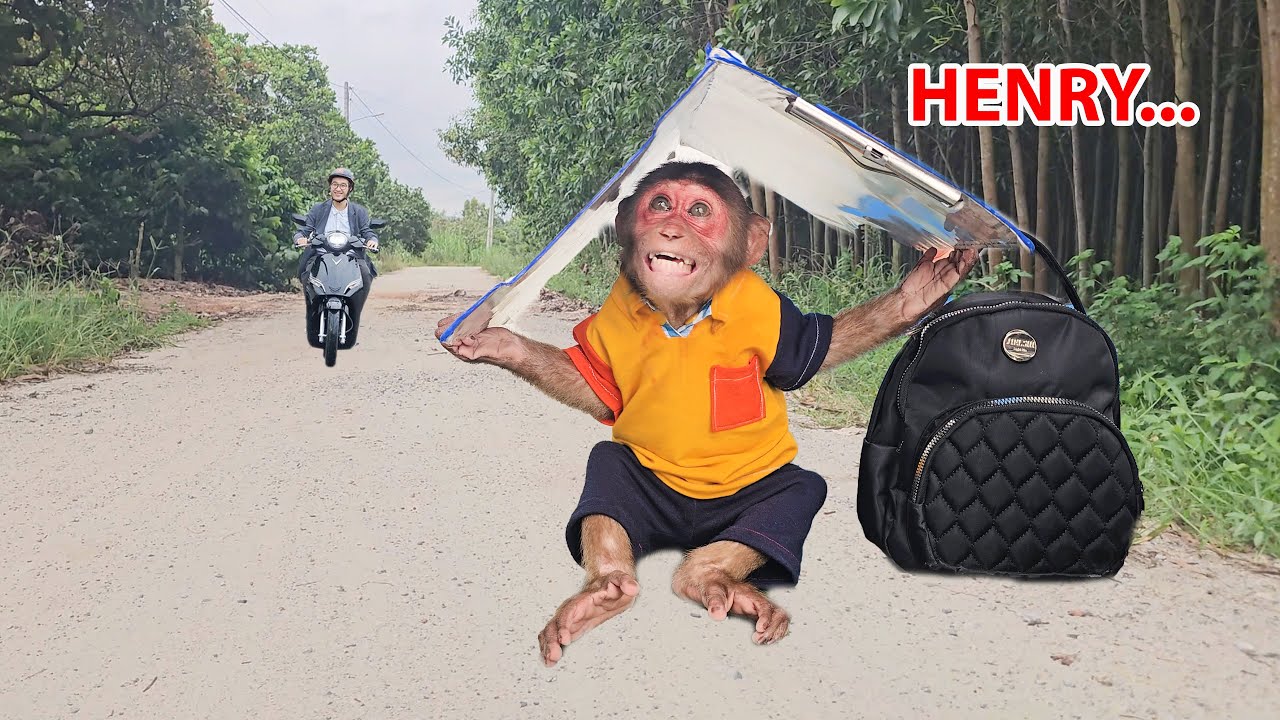 Monkey Su's Journey to Find an Engineer!
