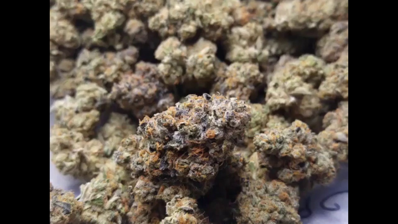 Sour Cookies: Tahoma