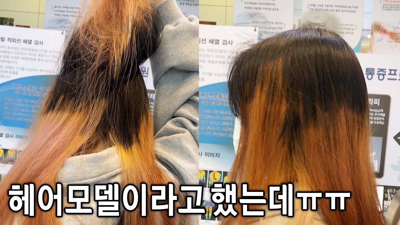 헤어모델이라고 했는데 이렇게 될 줄 몰랐어요..