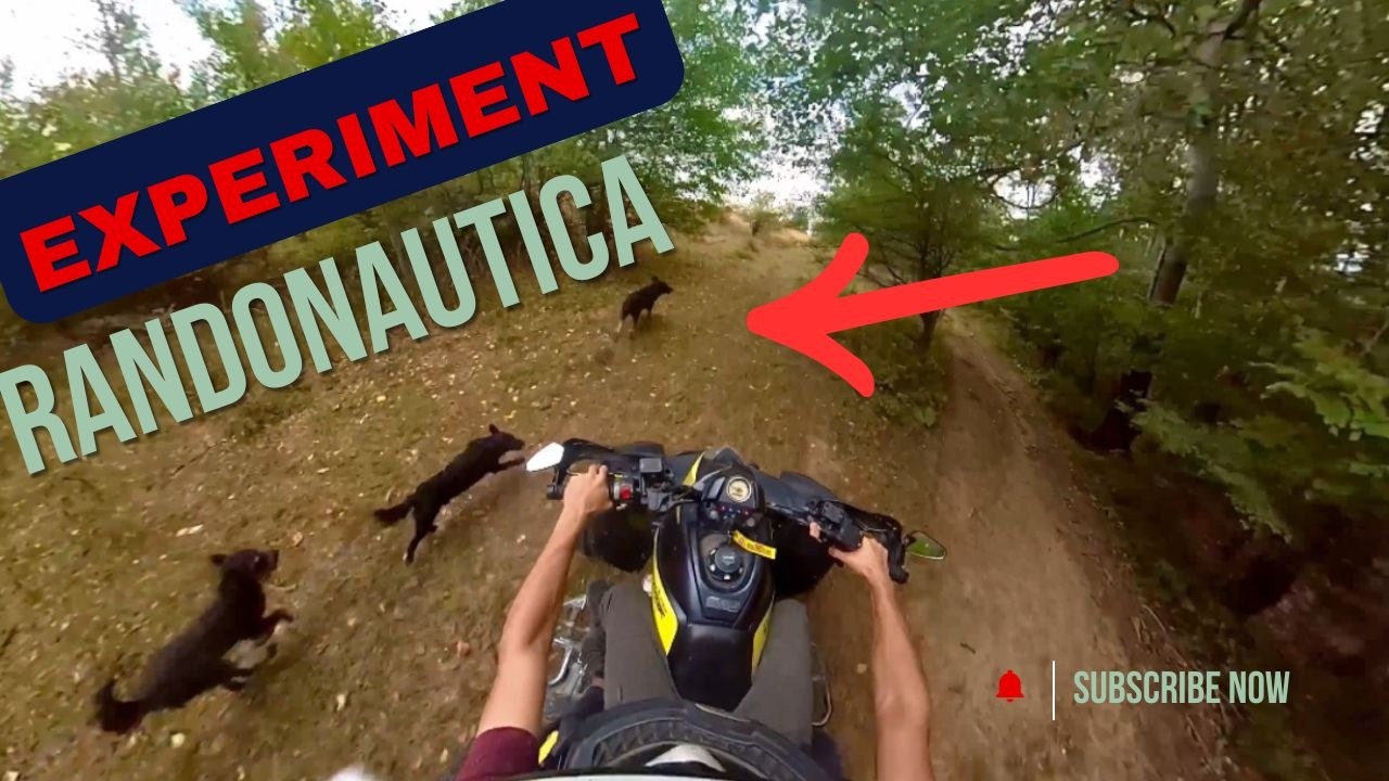 EXPERIMENT RANDONAUTICA: Întâlniri Ciudate și Atacați de Câini !
