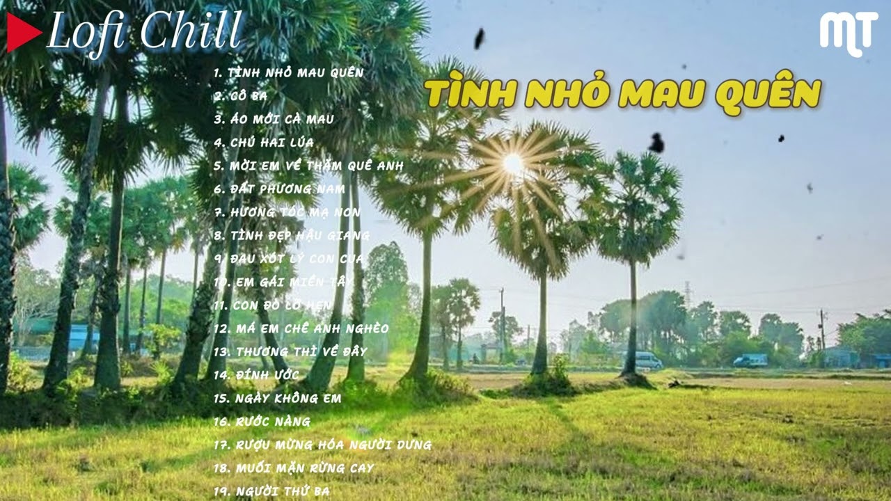 TÌNH NHỎ MAU QUÊN - Hôm nao hoa phượng nở về quê ghé thăm nhà em - nhạc lofi chill 2024 hot tiktok
