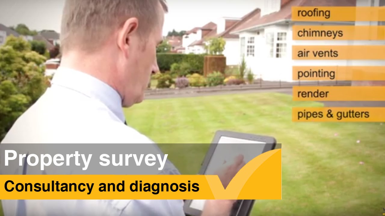 Wise Speedy Estimate Survey