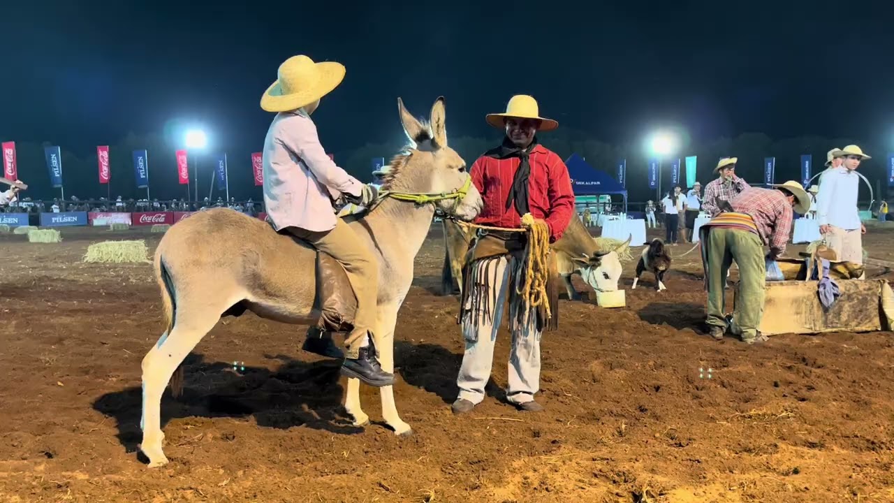 Santiago, fiesta de la tradition Misionera
