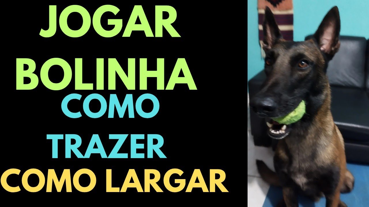 Como fazer, trazer e largar a bolinha.