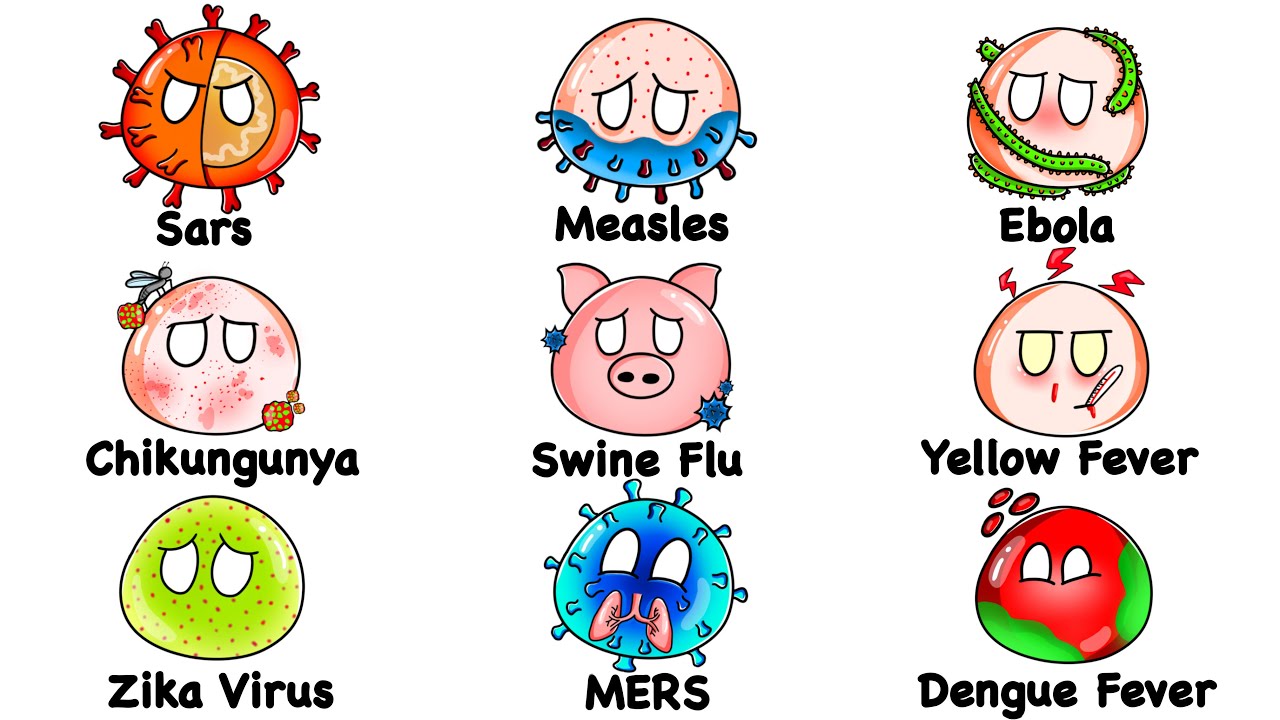 Every DEADLIEST Disease Outbreak Explained in 15 Minutes