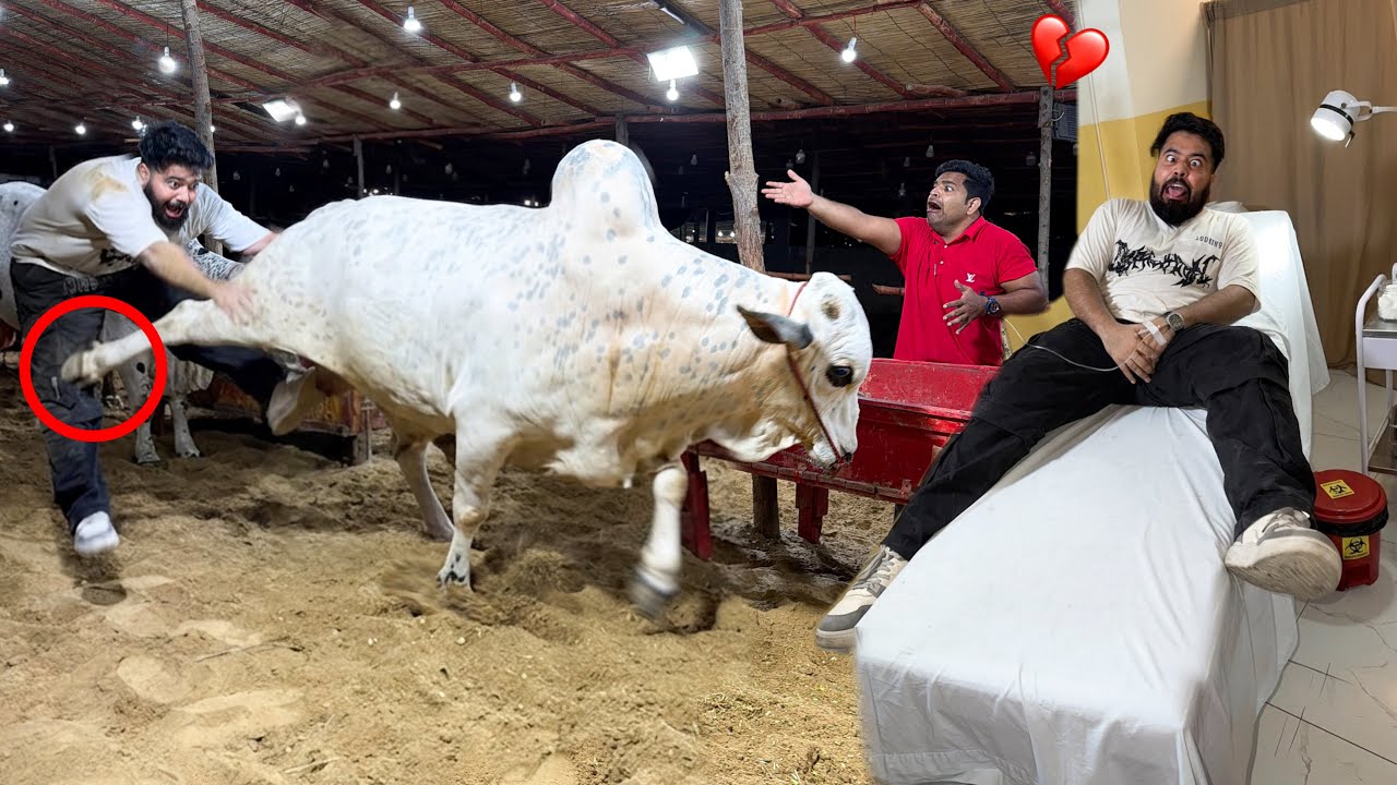 Khatarnak Bull Ne Galat Jagah Laat Maar Di!💔| Hospital Gone Wrong 🚑