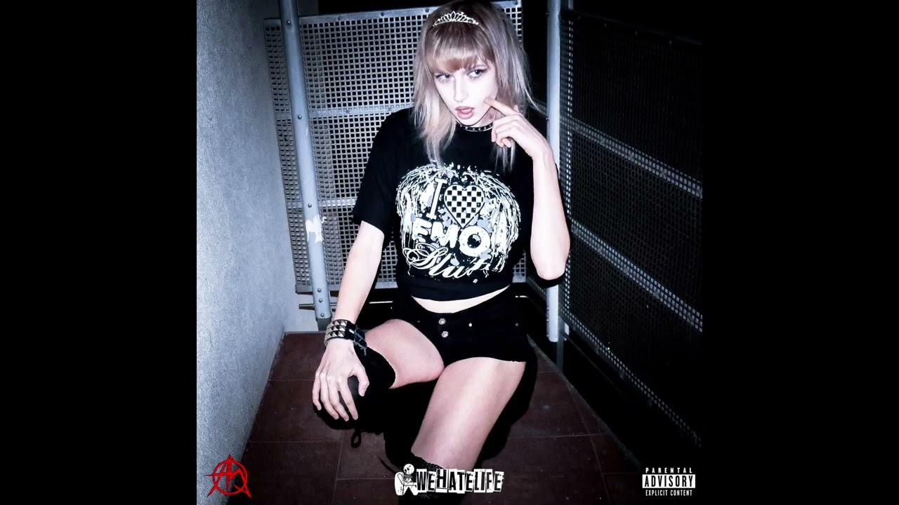Anarchist Sanctuary - 40 bands in this bitch (Official Audio)