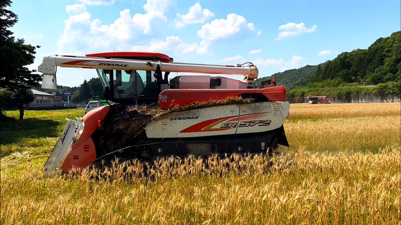 Kubota combine harvester ER572 クボタの5条72馬力コンバインで刈り取りSTAR🏃‍♂️