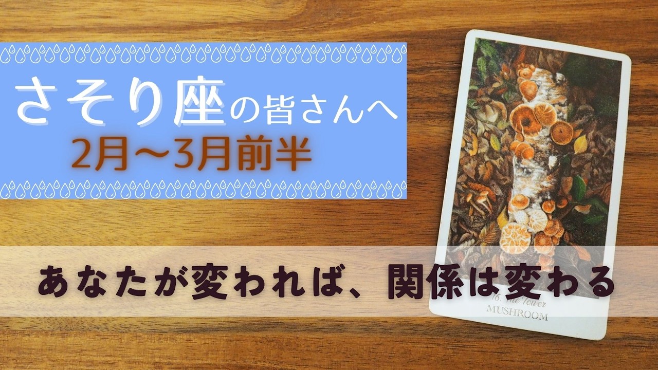 【さそり座♏️：2月〜3月前半】迷いながらも変わろうとする意志が、あなたを理想に連れていく🌿全体運🌿仕事運・恋愛＆人間関係🌿