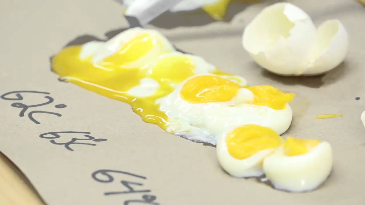 Sandy's Video Eggs Dave Arnold