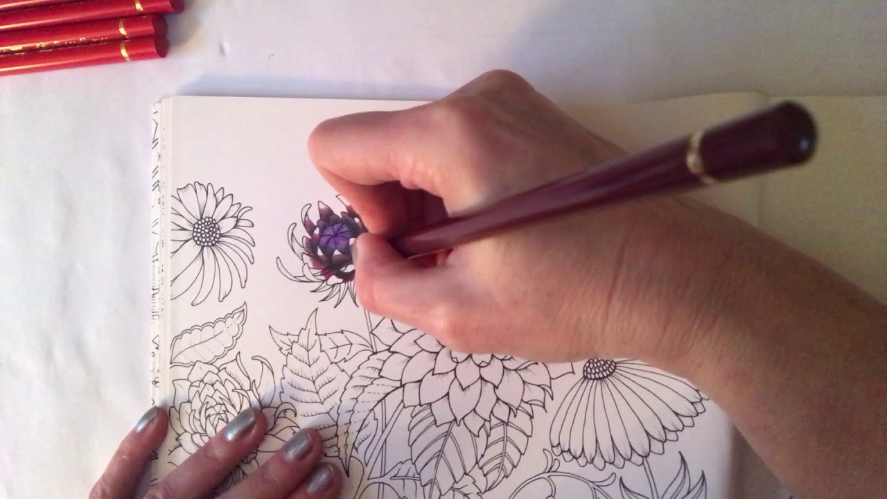 Johanna Basford Ivy & the Inky Butterfly - Dahlia flower tutorial