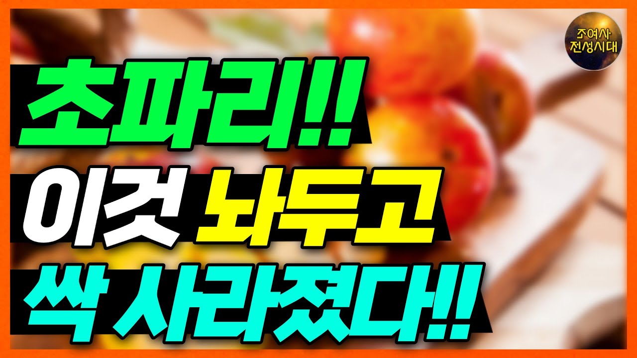 초파리 없애는 법!! 세균 초파리 절대 그냥 두지 마세요!! 이렇게 하면 알까지 싹 사라집니다!!