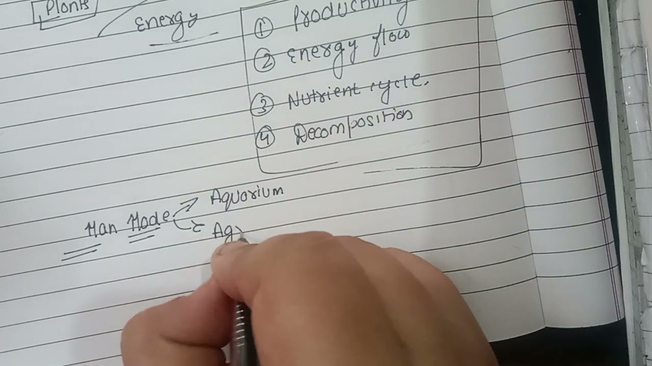 Ecosystem Lecture 1