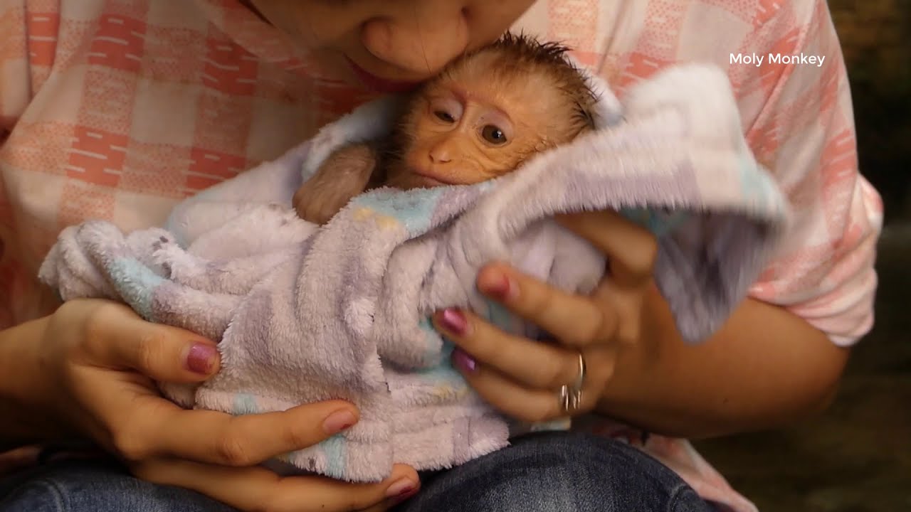Molly Got Good Care By Mom After Bathing