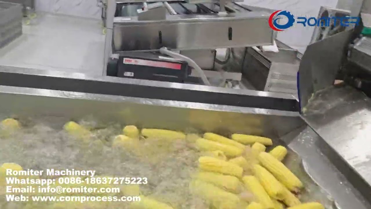 Automatic Fresh Sweet Corn Production Line for Indonesia