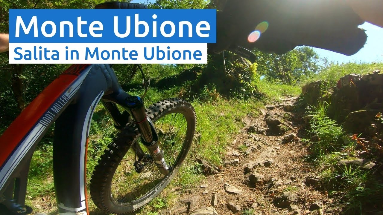 Monte Ubione: Salita da Clanezzo all'Ubione (ciclabilità 60%) - MTB Bergamo