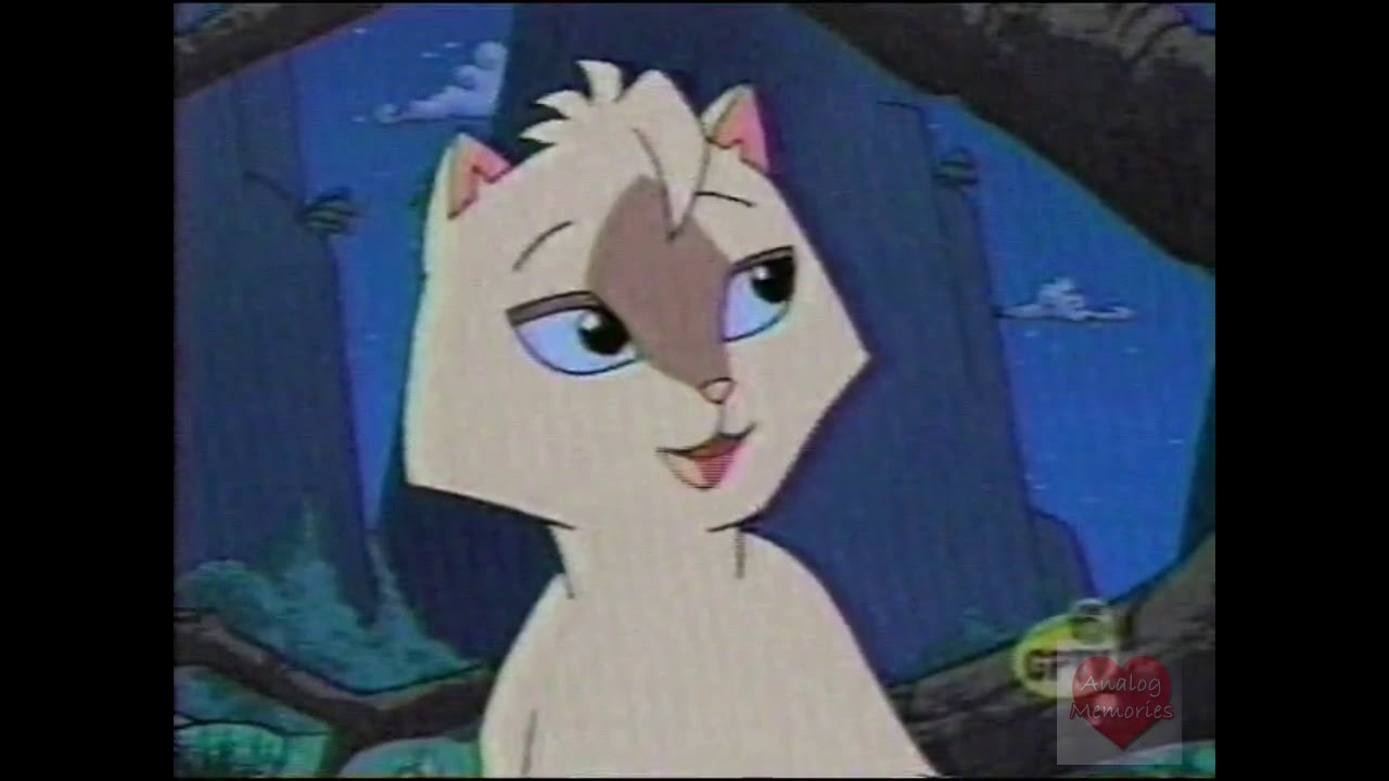 Sagwa the Chinese Siamese Cat | 