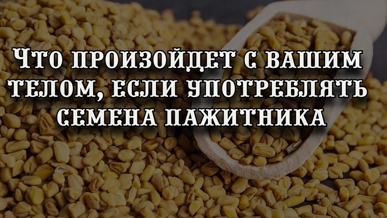 Что произойдет с вашим телом, если употреблять семена пажитника