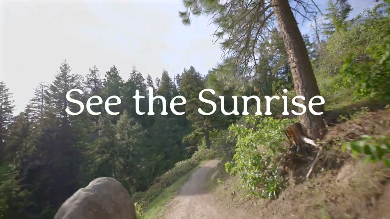 Northwest Stories - See the Sunrise (Official Lyric Video)