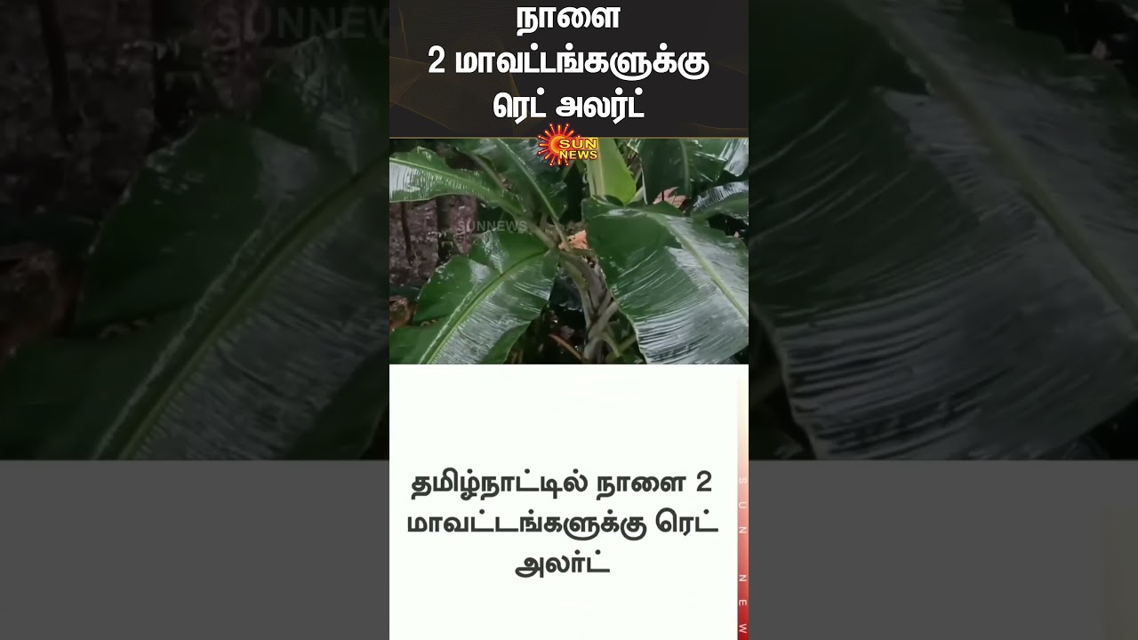 Red Alert | Tamilnadu Weather Report | Cyclonic Storm Ditwah | Heavy Rain | Coastal | Sun News