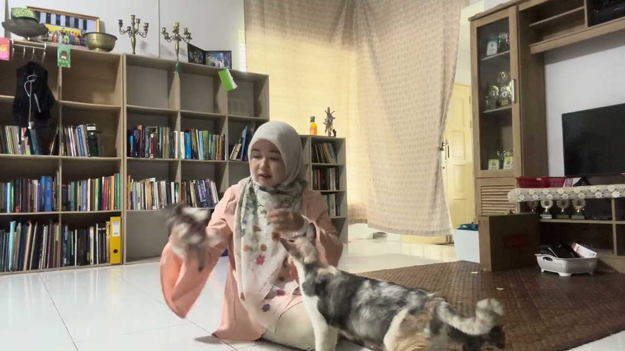 vlog berik mayau makan