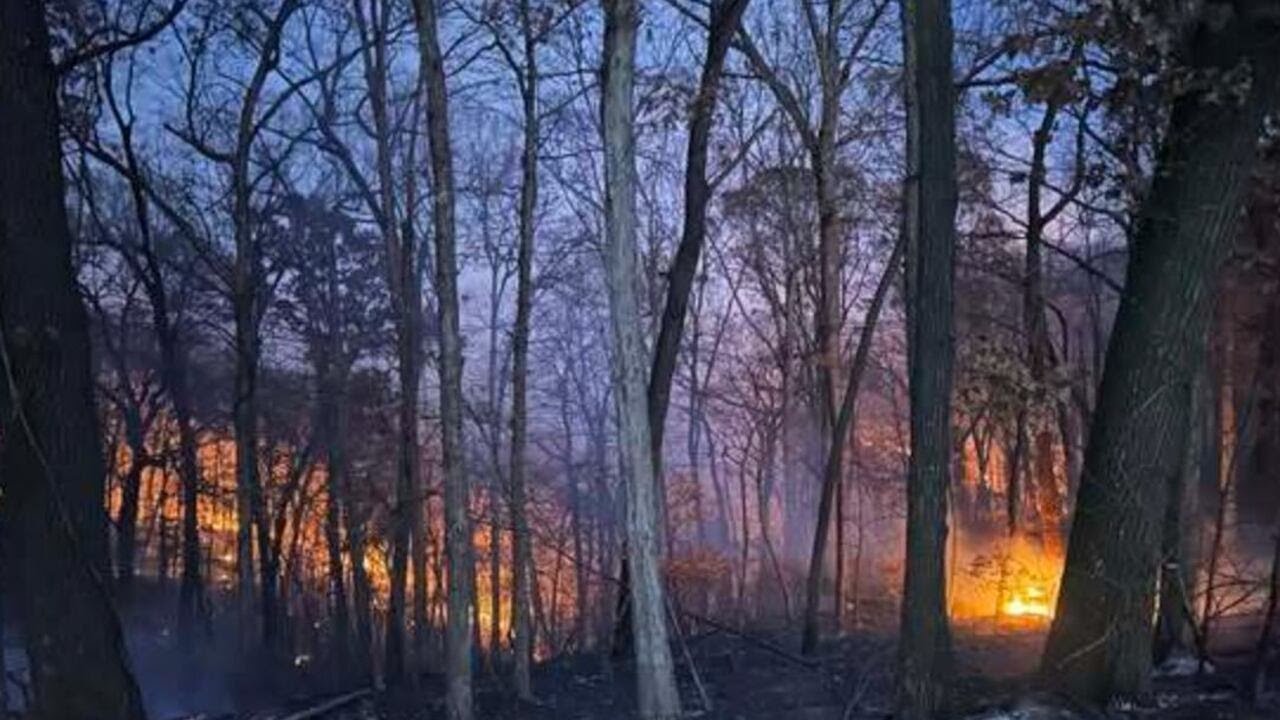 KY3 Digital Extra: Missouri state regulators and utilities work to prevent wildfires