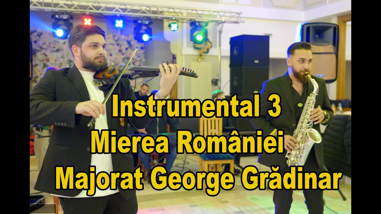 Intrumental 3   Mierea Romaniei Live 2025  ,Majorat George Gradinar