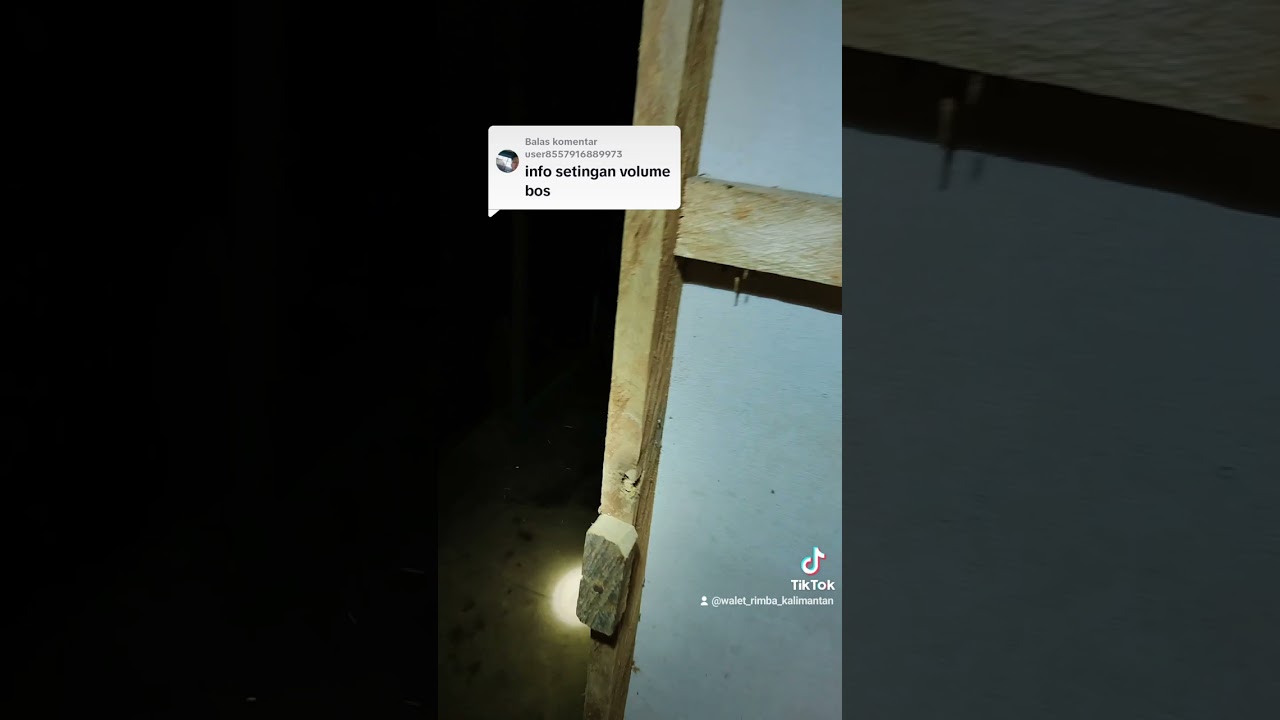 Cara setting suara pemikat walet (paket suara panggil tarik dan inap) pada ampli piro