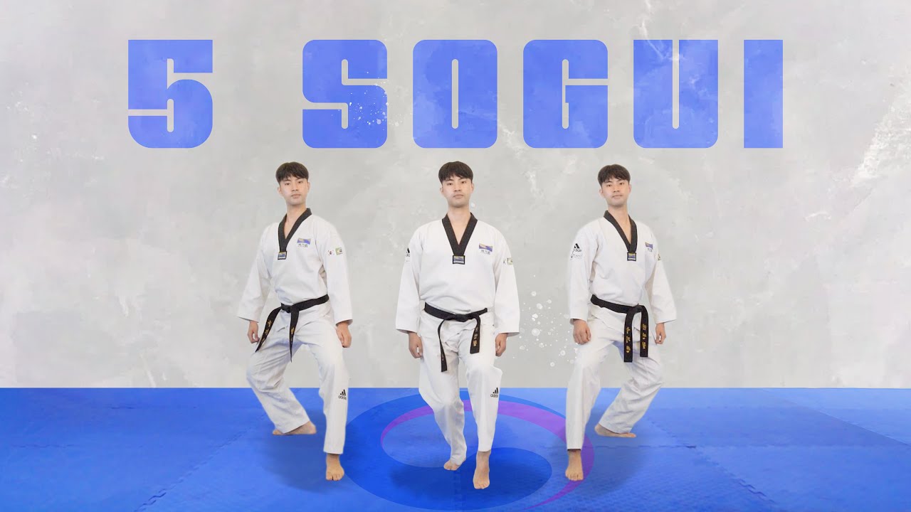 Aula de Taekwondo 5 - SOGUI