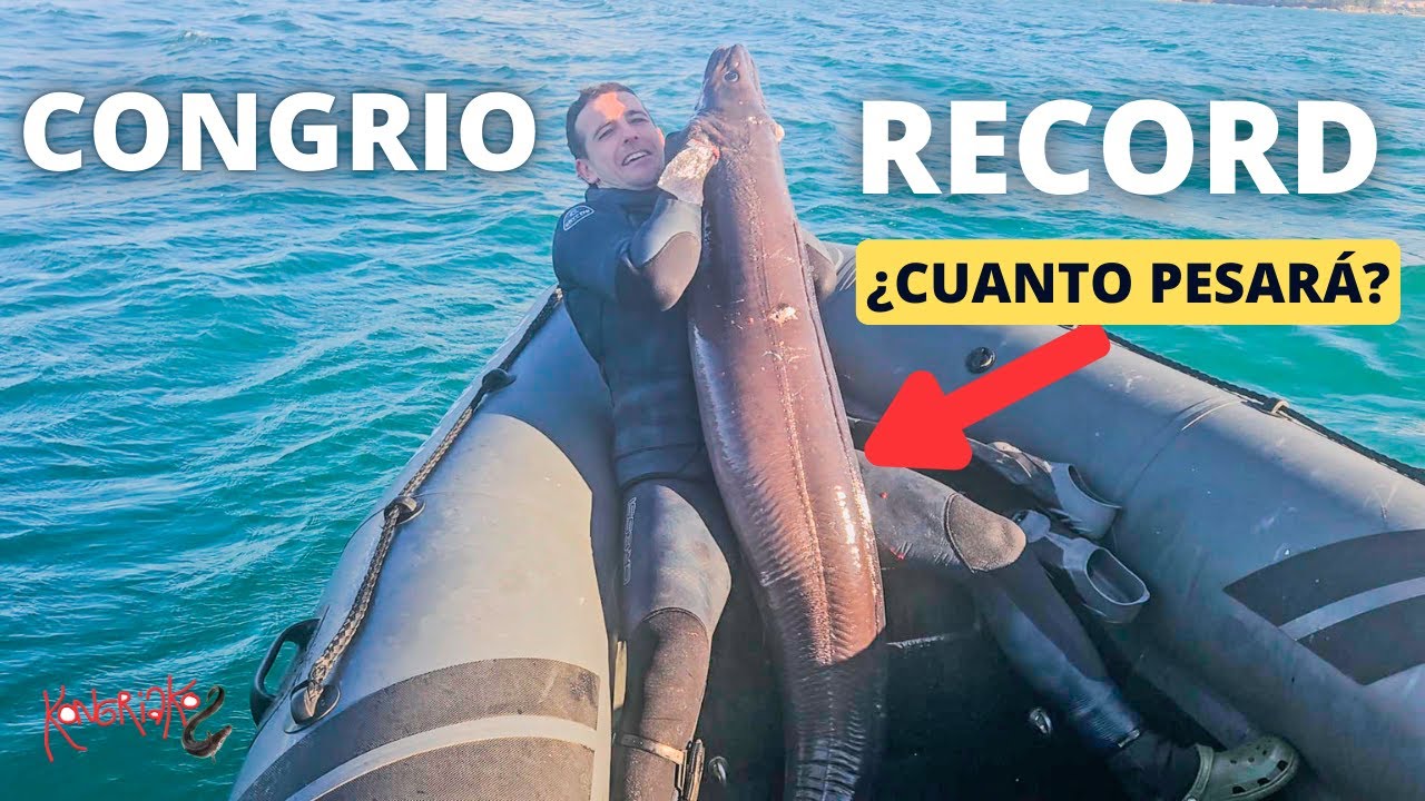 ✅PESCA SUBMARINA⚠️CONGRIO RECORD🔥¿Cuánto Pesará? [CRESSI TEAM]