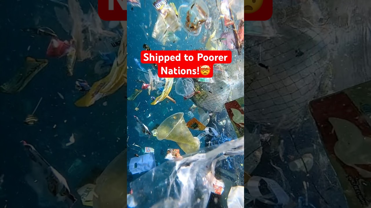 Where Your Plastic Really Ends Up