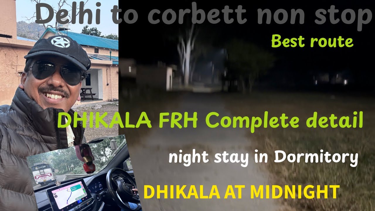 Delhi to Jim corbett non stop|best route|Dhikala FRH complete details|dormitory|midnight at Dhikala
