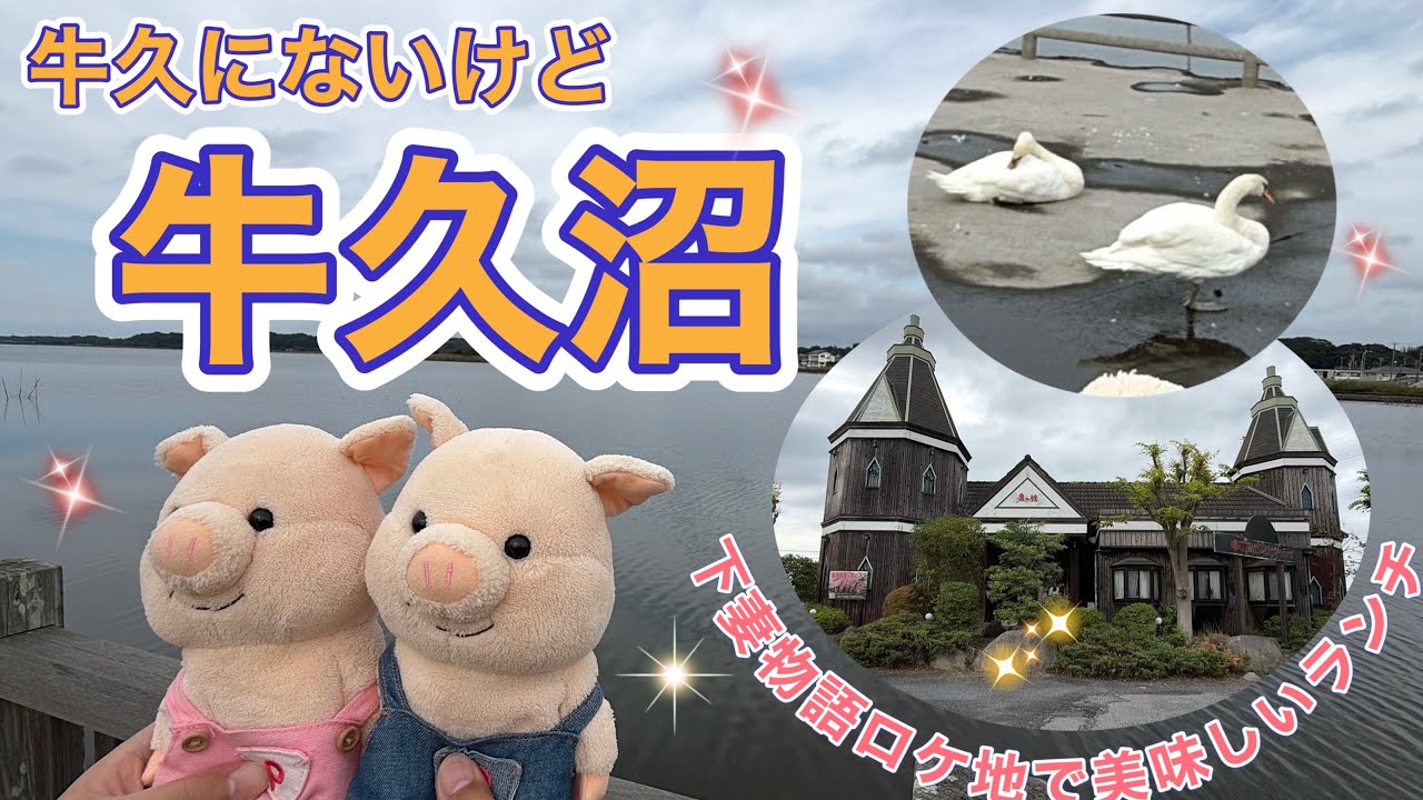 ＃130 牛久市にはない【牛久沼】と下妻のオシャレレストラン✨
