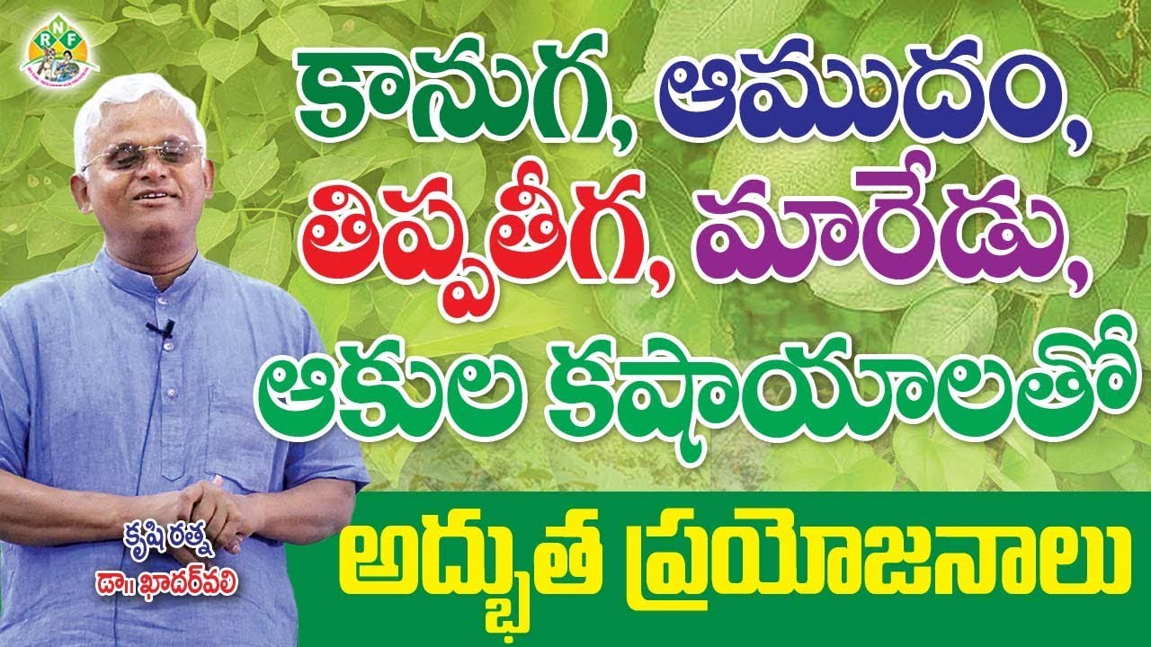 కాఫీ, టీ మానేయడం ఇంత సులభం || Unable to Stop Coffee, Tea ? With this U Can || Dr.Khader Valli