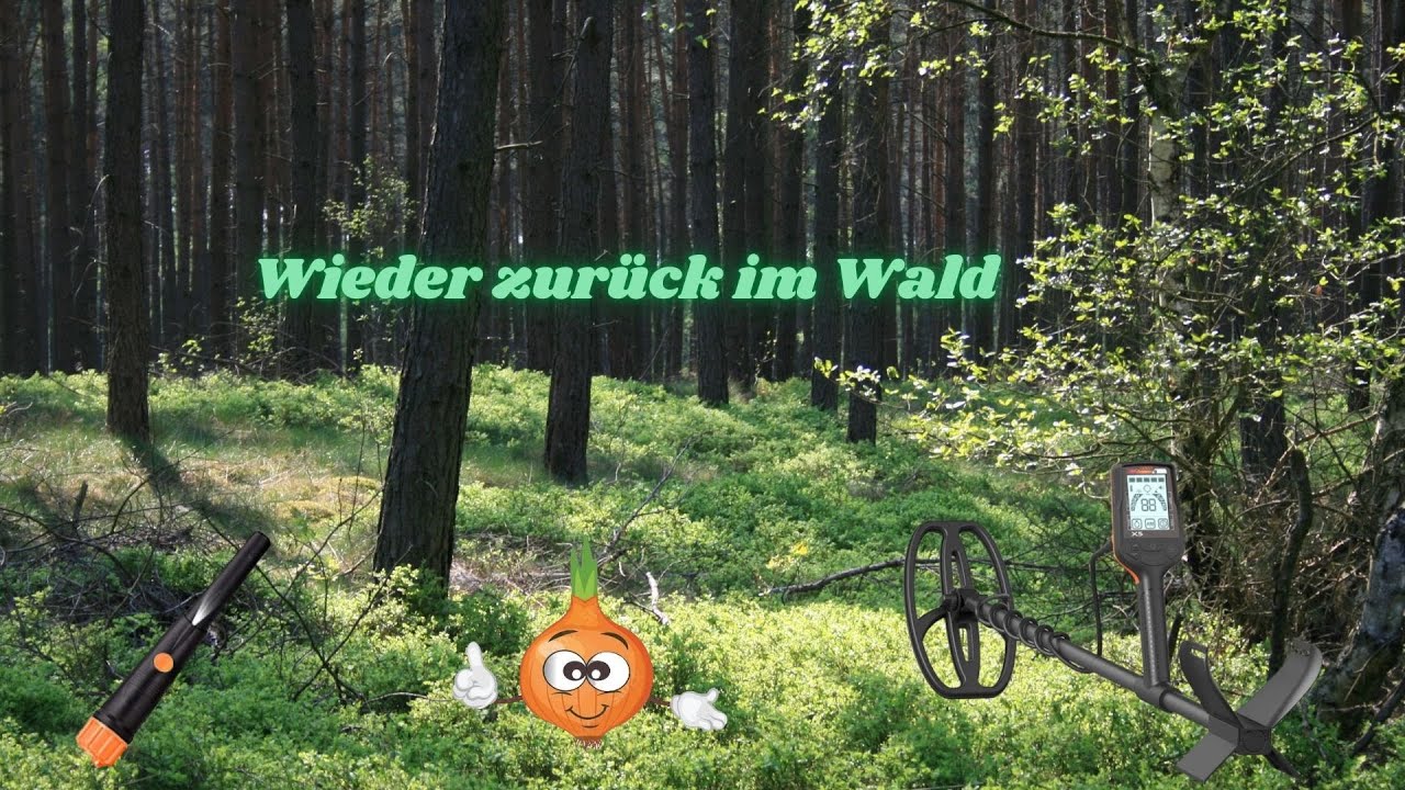 Mit dem QUEST X5  im Wald unterwegs. #Sondeln #Schatzsuche #Quest X5 😎😀