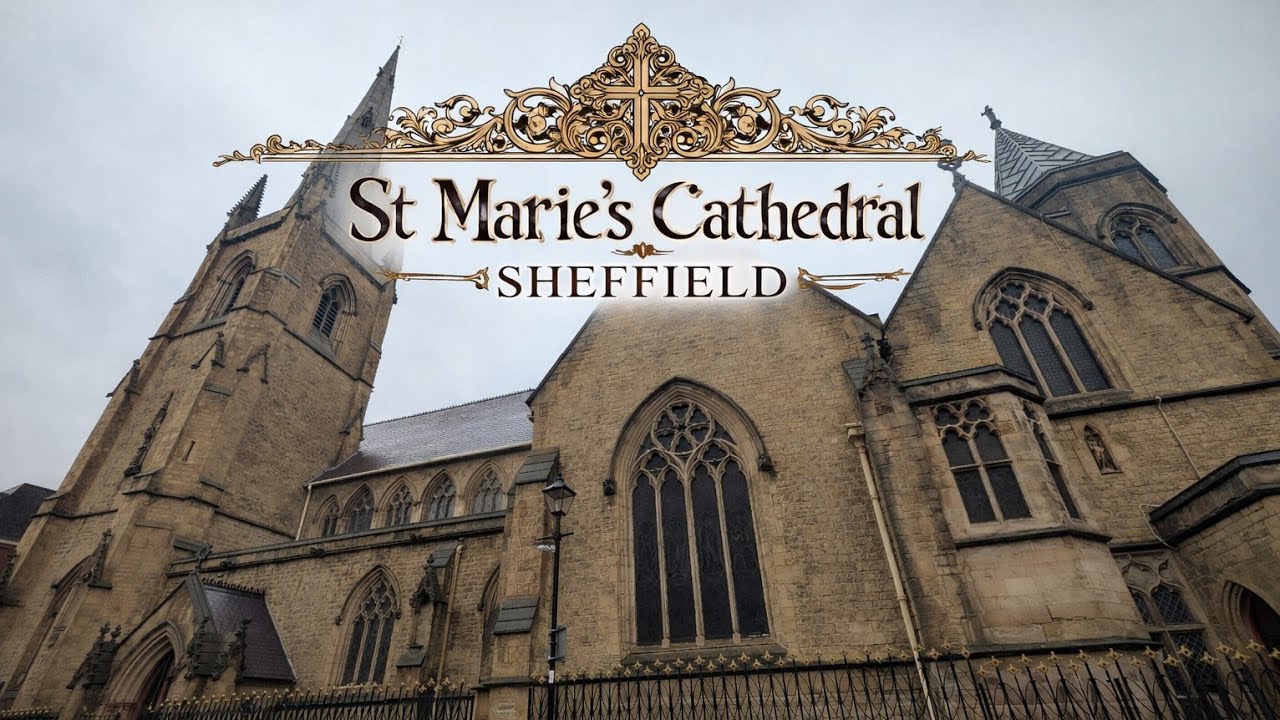 St Marie's Catholic Cathedral (Sheffield). ✝️ 🪟 🎵 #sheffield #cathedral 