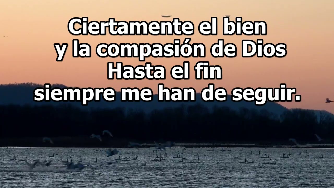 Himno – C161 Como El Pastor / Edición Para Proyección