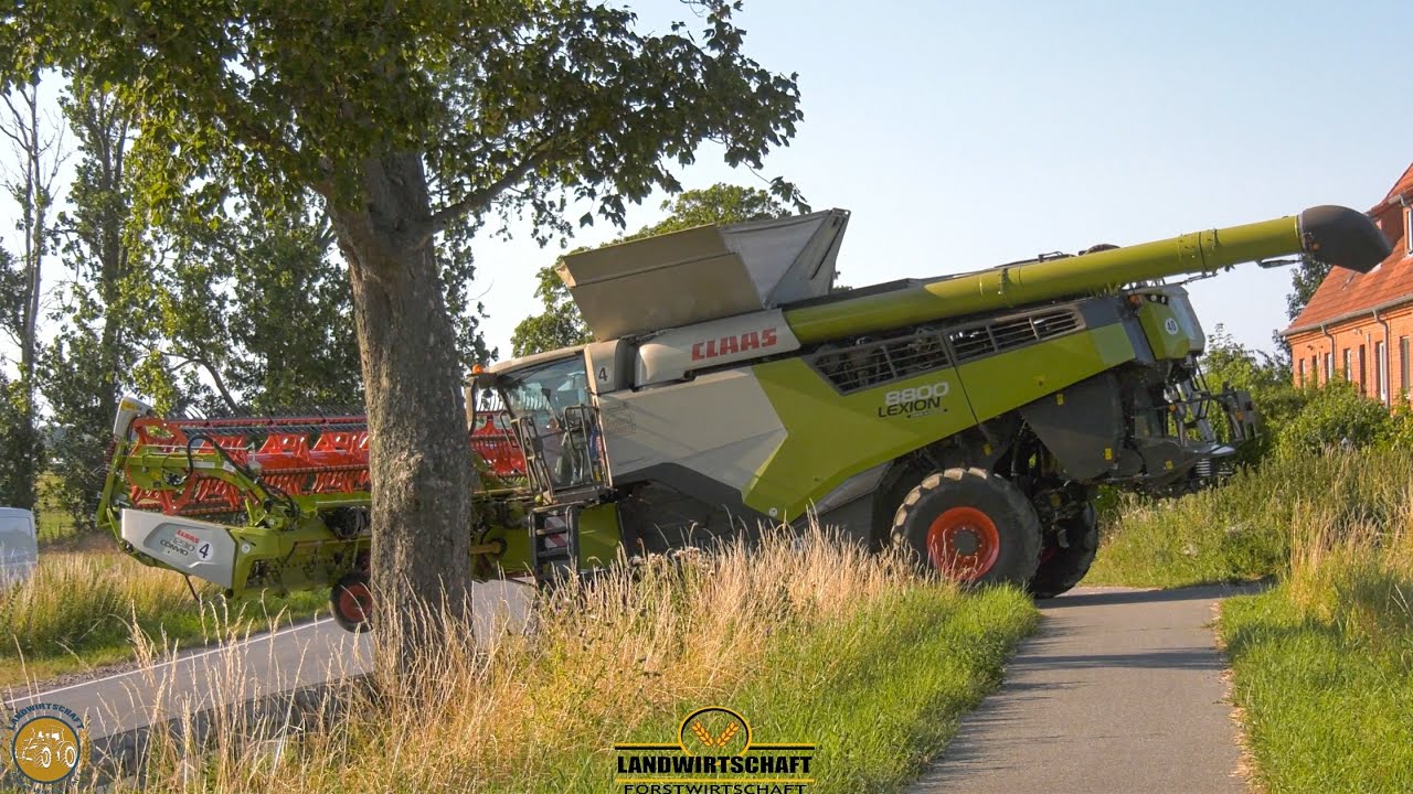 Knappe Angelegenheit an der Straße Mähdrescher schneidet neues Feld an Gut Hohen Luckow Raps Ernte